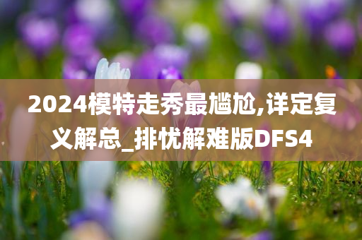 2024模特走秀最尴尬,详定复义解总_排忧解难版DFS4