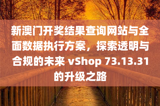 新澳门开奖结果查询网站与全面数据执行方案，探索透明与合规的未来 vShop 73.13.31的升级之路