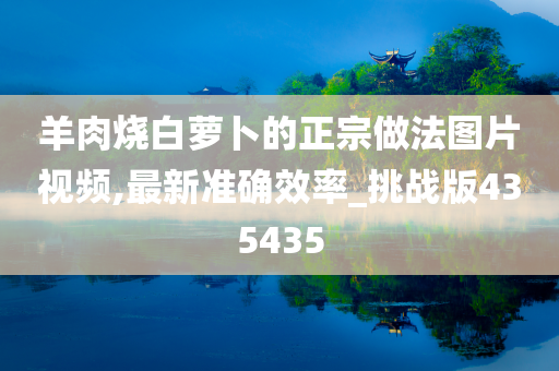 羊肉烧白萝卜的正宗做法图片视频,最新准确效率_挑战版435435