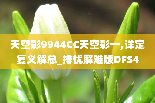 天空彩9944CC天空彩一,详定复义解总_排忧解难版DFS4