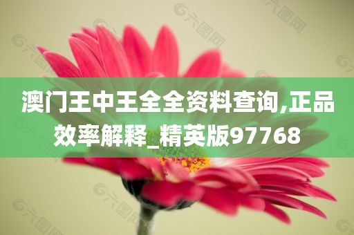 澳门王中王全全资料查询,正品效率解释_精英版97768