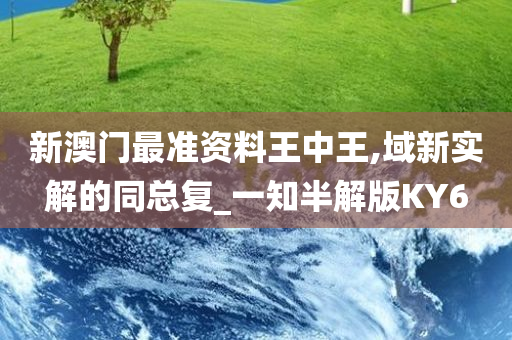 新澳门最准资料王中王,域新实解的同总复_一知半解版KY6