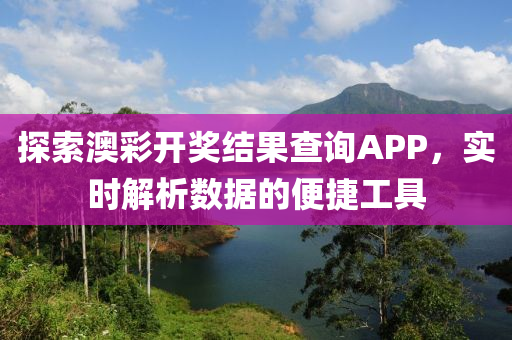 探索澳彩开奖结果查询APP，实时解析数据的便捷工具