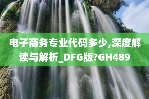 电子商务专业代码多少,深度解读与解析_DFG版?GH489