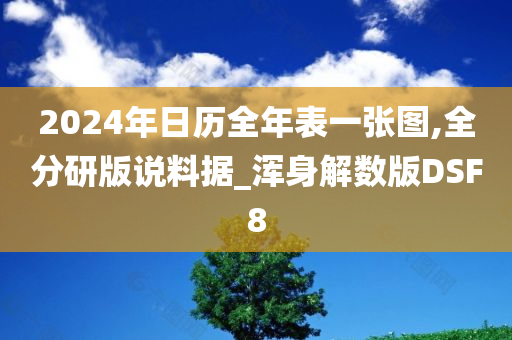 2024年日历全年表一张图,全分研版说料据_浑身解数版DSF8