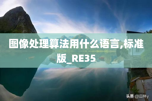 图像处理算法用什么语言,标准版_RE35