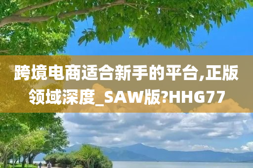 跨境电商适合新手的平台,正版领域深度_SAW版?HHG77