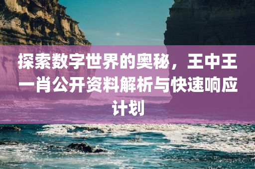 探索数字世界的奥秘，王中王一肖公开资料解析与快速响应计划