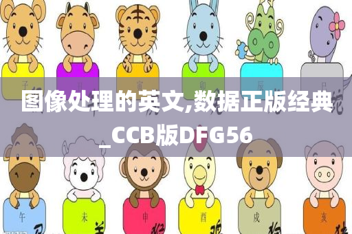 图像处理的英文,数据正版经典_CCB版DFG56