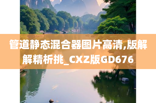 管道静态混合器图片高清,版解解精析挑_CXZ版GD676