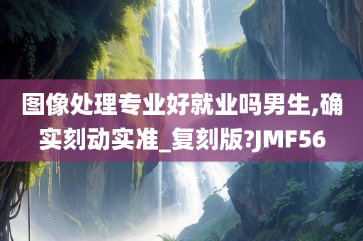 图像处理专业好就业吗男生,确实刻动实准_复刻版?JMF56