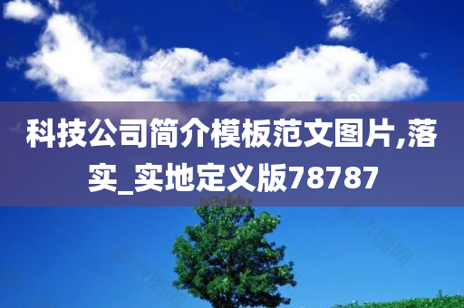 科技公司简介模板范文图片,落实_实地定义版78787