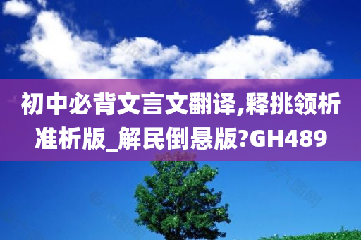 初中必背文言文翻译,释挑领析准析版_解民倒悬版?GH489