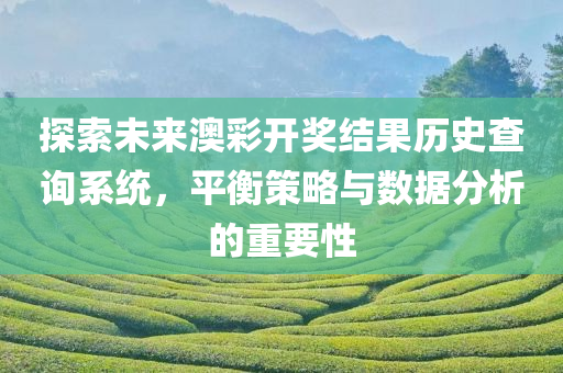 探索未来澳彩开奖结果历史查询系统，平衡策略与数据分析的重要性