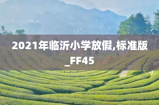 2021年临沂小学放假,标准版_FF45