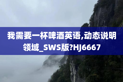 我需要一杯啤酒英语,动态说明领域_SWS版?HJ6667