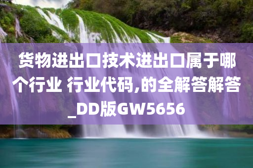 货物进出口技术进出口属于哪个行业 行业代码,的全解答解答_DD版GW5656