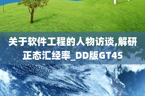 关于软件工程的人物访谈,解研正态汇经率_DD版GT45