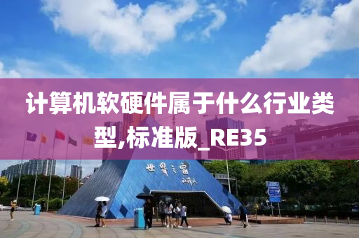 计算机软硬件属于什么行业类型,标准版_RE35