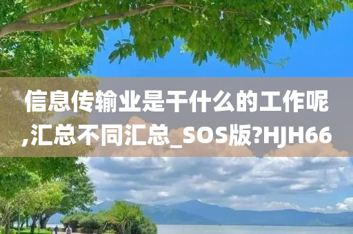 信息传输业是干什么的工作呢,汇总不同汇总_SOS版?HJH66