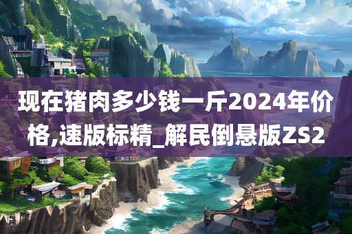 现在猪肉多少钱一斤2024年价格,速版标精_解民倒悬版ZS2