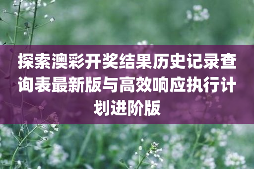 探索澳彩开奖结果历史记录查询表最新版与高效响应执行计划进阶版