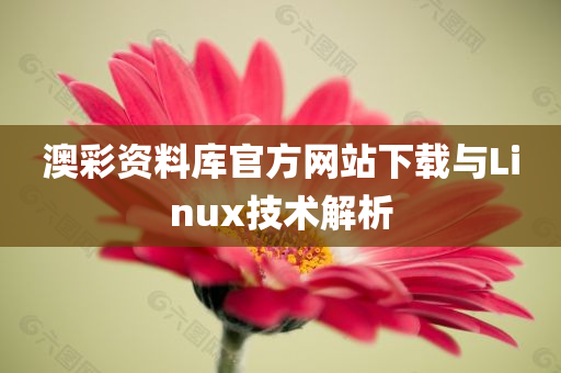 澳彩资料库官方网站下载与Linux技术解析