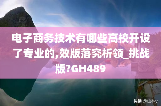 电子商务技术有哪些高校开设了专业的,效版落究析领_挑战版?GH489