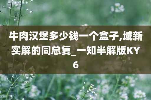 牛肉汉堡多少钱一个盒子,域新实解的同总复_一知半解版KY6