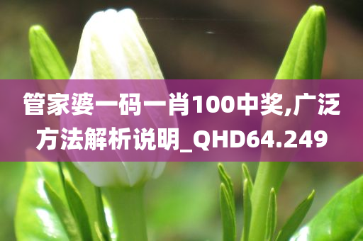 管家婆一码一肖100中奖,广泛方法解析说明_QHD64.249