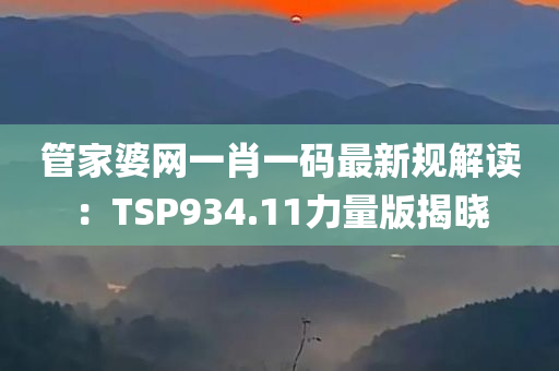 管家婆网一肖一码最新规解读：TSP934.11力量版揭晓