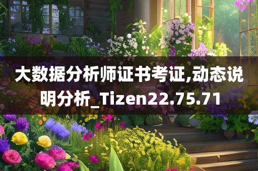 大数据分析师证书考证,动态说明分析_Tizen22.75.71