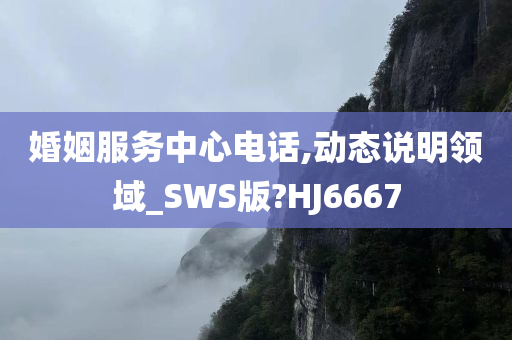 婚姻服务中心电话,动态说明领域_SWS版?HJ6667