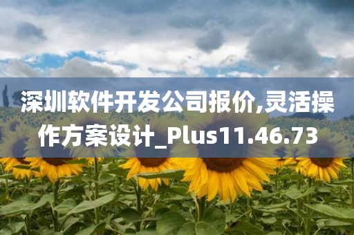 深圳软件开发公司报价,灵活操作方案设计_Plus11.46.73