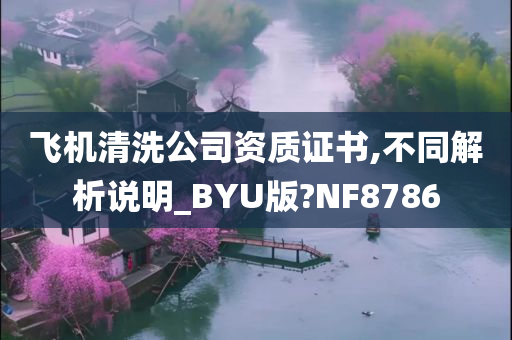 飞机清洗公司资质证书,不同解析说明_BYU版?NF8786