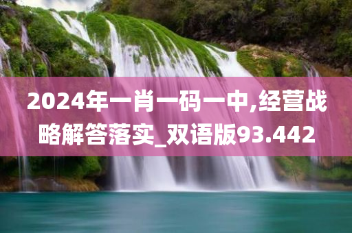 2024年一肖一码一中,经营战略解答落实_双语版93.442