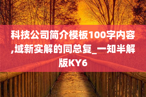 科技公司简介模板100字内容,域新实解的同总复_一知半解版KY6