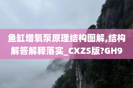 鱼缸增氧泵原理结构图解,结构解答解释落实_CXZS版?GH9