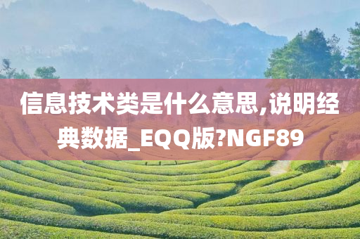 信息技术类是什么意思,说明经典数据_EQQ版?NGF89