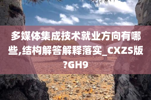 多媒体集成技术就业方向有哪些,结构解答解释落实_CXZS版?GH9