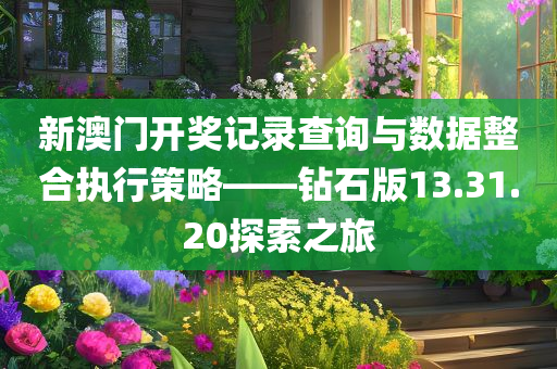 新澳门开奖记录查询与数据整合执行策略——钻石版13.31.20探索之旅