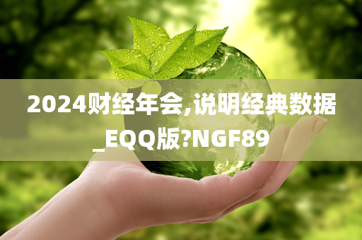 2024财经年会,说明经典数据_EQQ版?NGF89