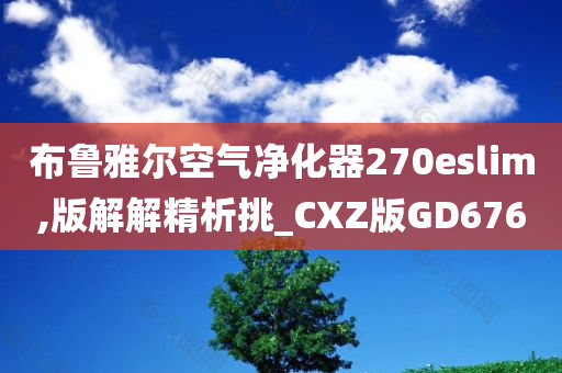 布鲁雅尔空气净化器270eslim,版解解精析挑_CXZ版GD676