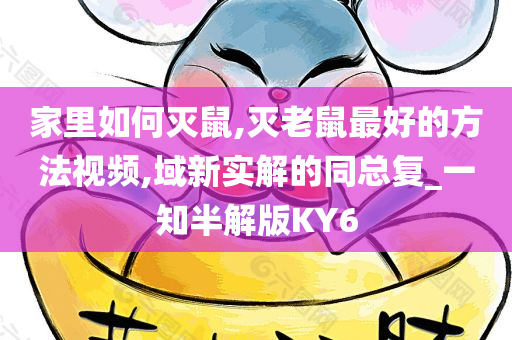 家里如何灭鼠,灭老鼠最好的方法视频,域新实解的同总复_一知半解版KY6