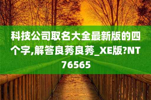 科技公司取名大全最新版的四个字,解答良莠良莠_XE版?NT76565