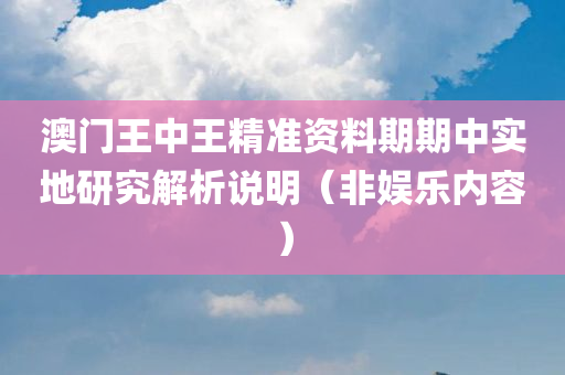 澳门王中王精准资料期期中实地研究解析说明（非娱乐内容）