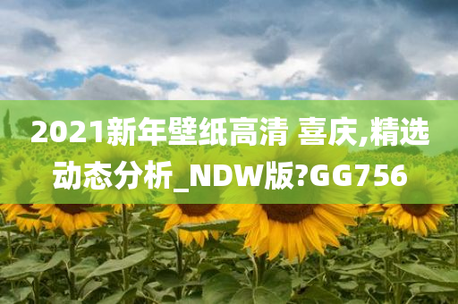 2021新年壁纸高清 喜庆,精选动态分析_NDW版?GG756