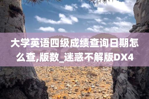 大学英语四级成绩查询日期怎么查,版数_迷惑不解版DX4