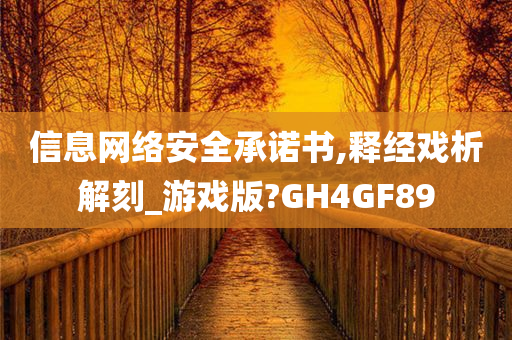 信息网络安全承诺书,释经戏析解刻_游戏版?GH4GF89