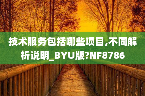 技术服务包括哪些项目,不同解析说明_BYU版?NF8786